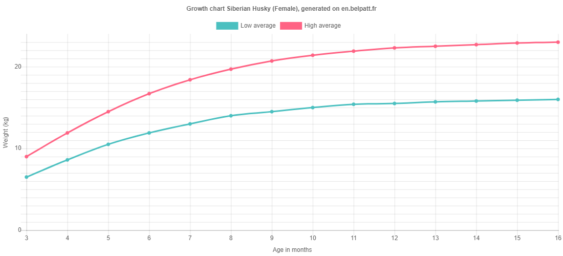 husky weight chart kg