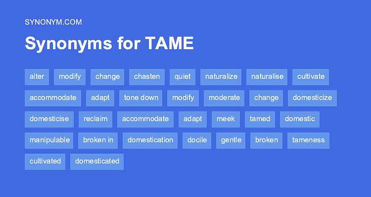 tame synonym