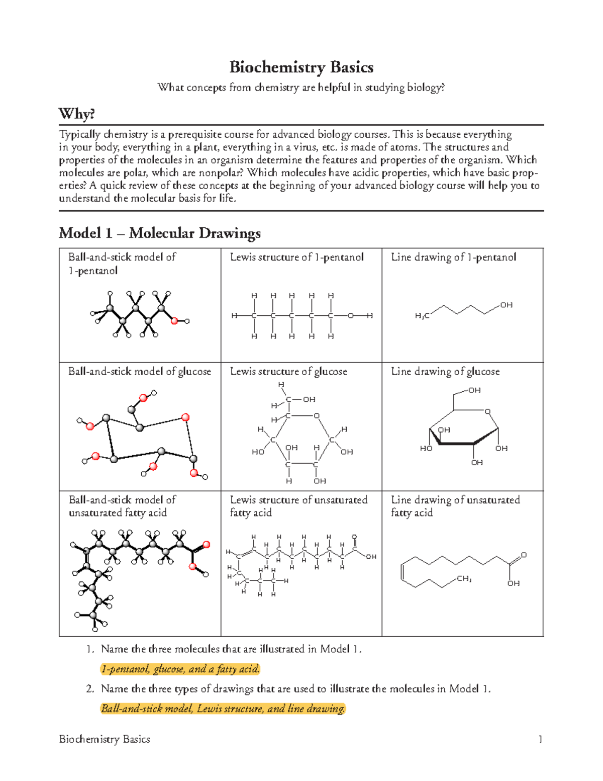 biochemistry basics pdf answers