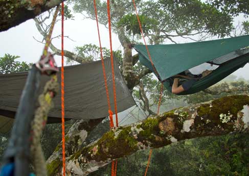 hennessy hammock australia