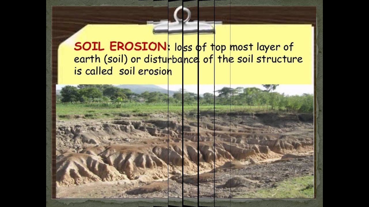 soil erosion meaning in malayalam