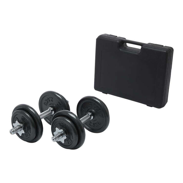 rebel sports dumbell