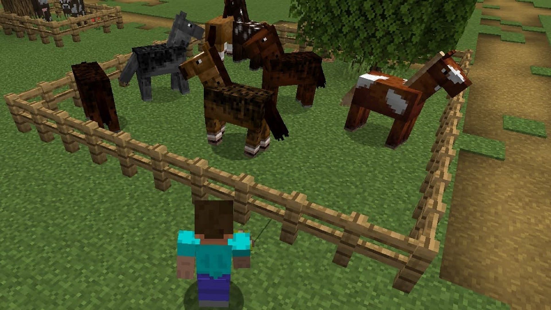 what do minecraft horses eat