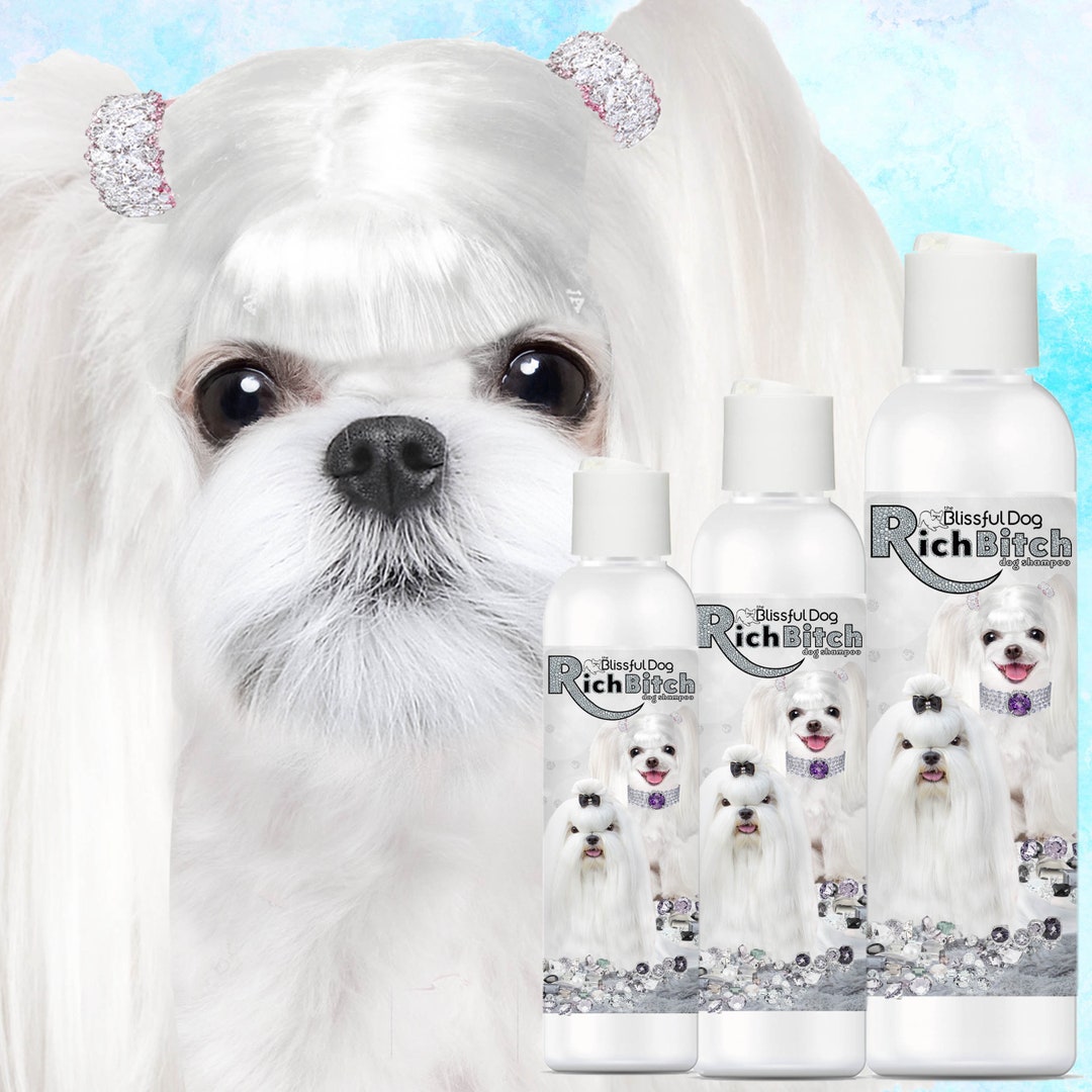 maltese shampoo