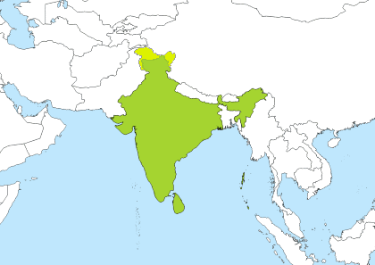 13.00 utc time in india