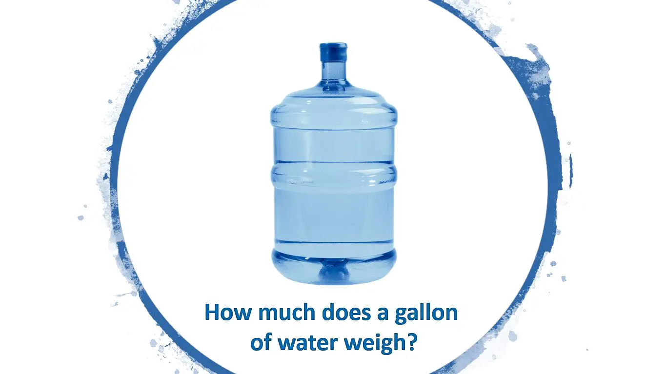 how many kg is a gallon