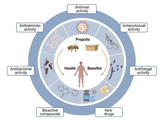 propolis side effects diarrhea