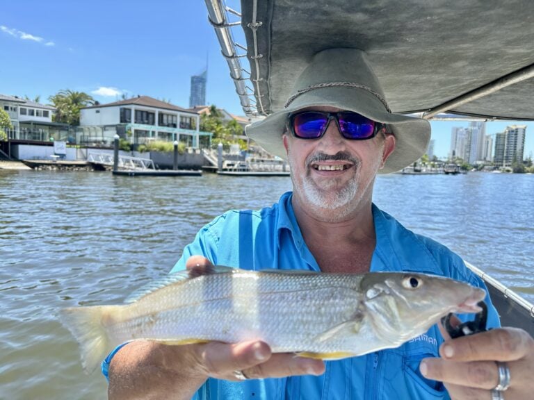 gold coast fishing report today