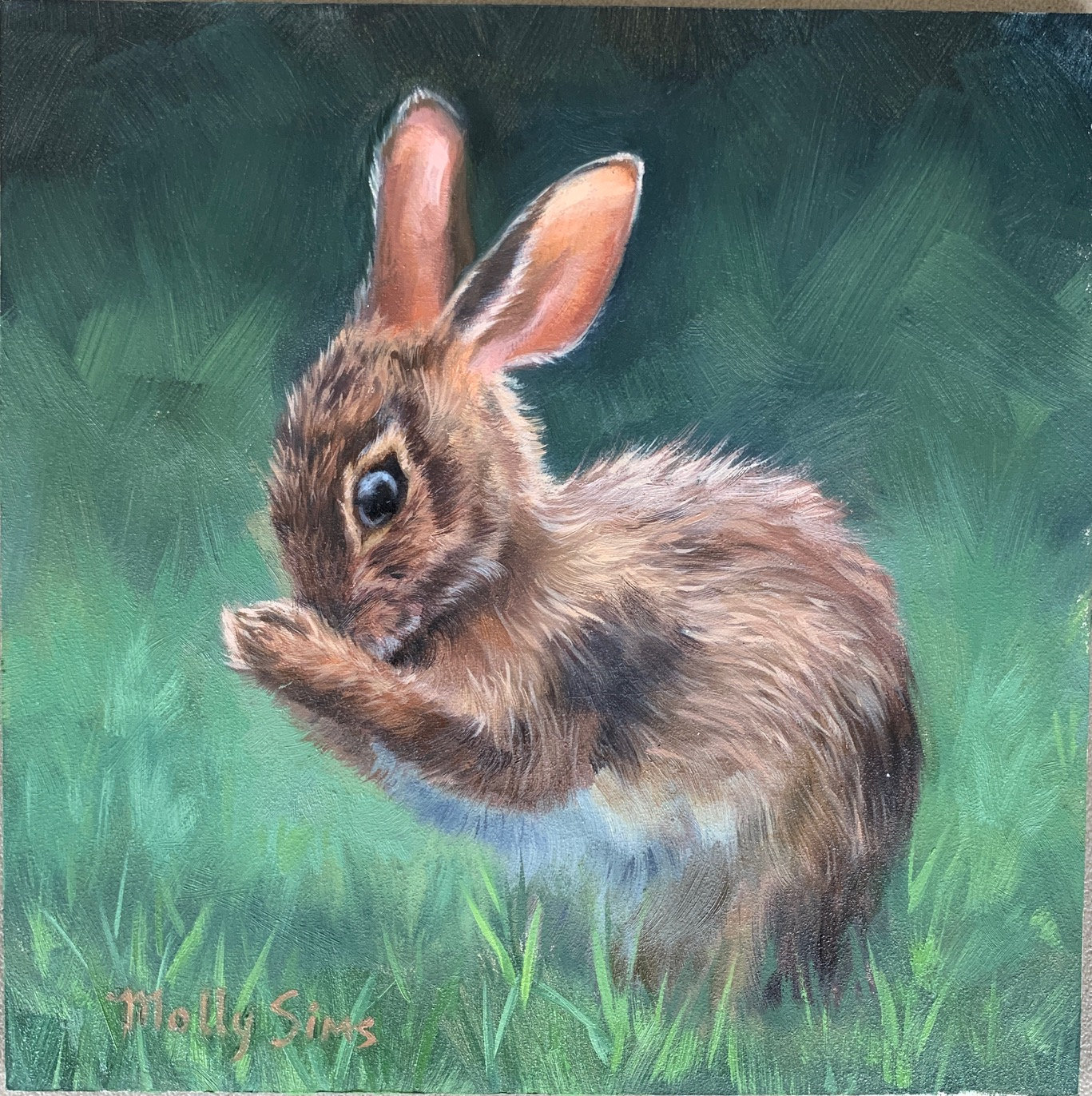 rabbit painting images