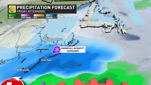 halifax weather network hourly