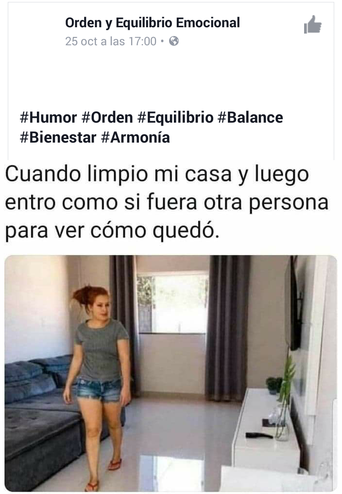 gracioso memes de limpieza