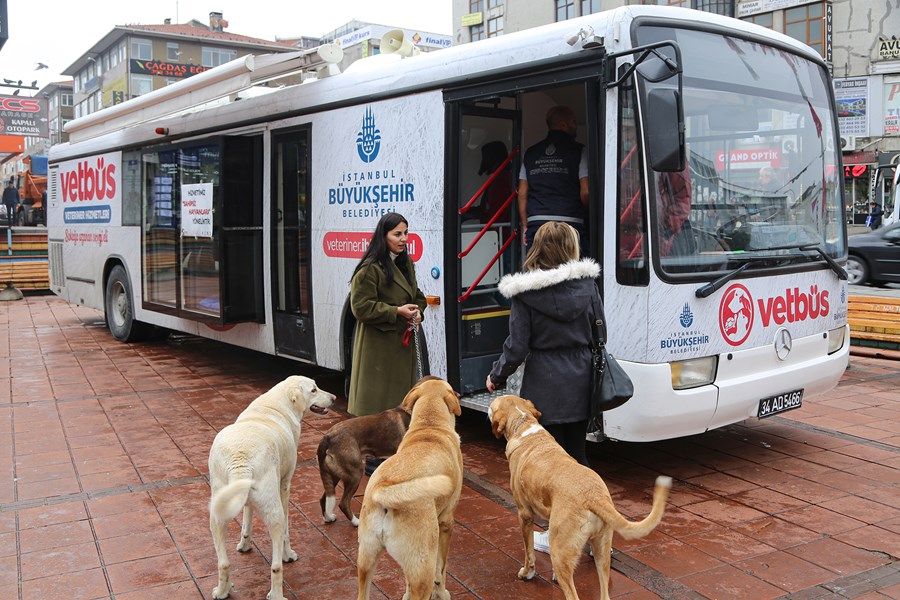 gezici veteriner istanbul