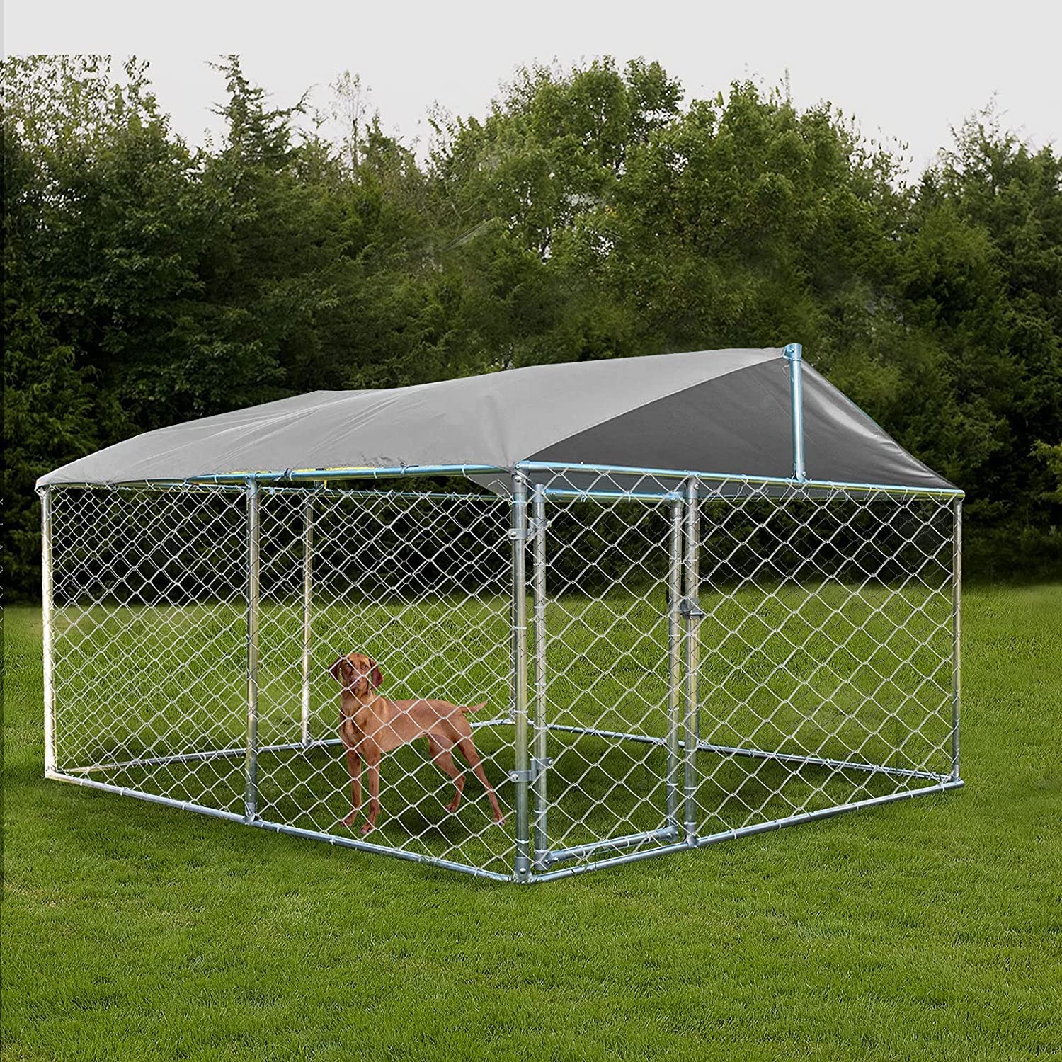 pet kennels