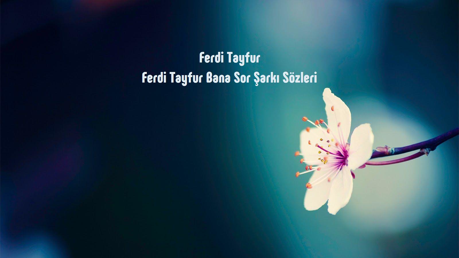 ferdi tayfur bana sor sözleri