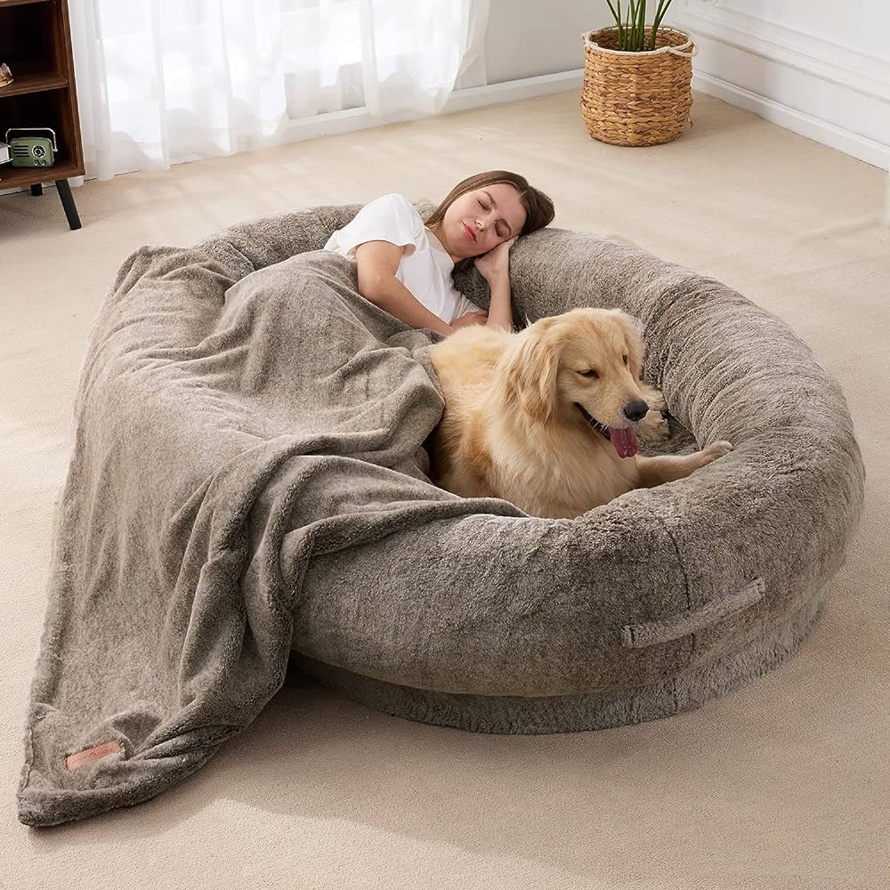 big dog beds amazon