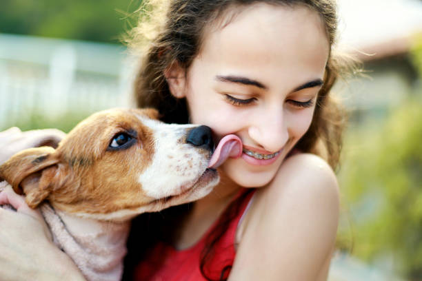 dogs licking teens