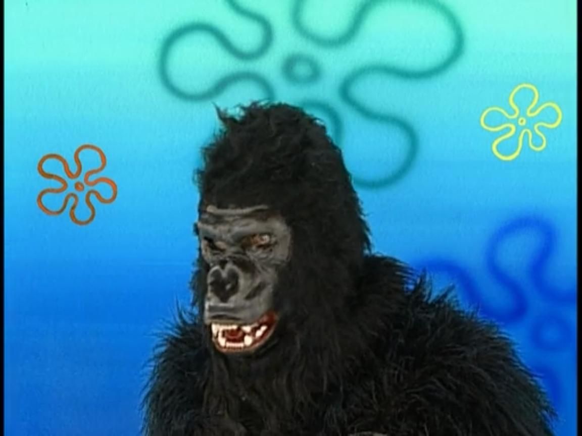 spongebob gorilla