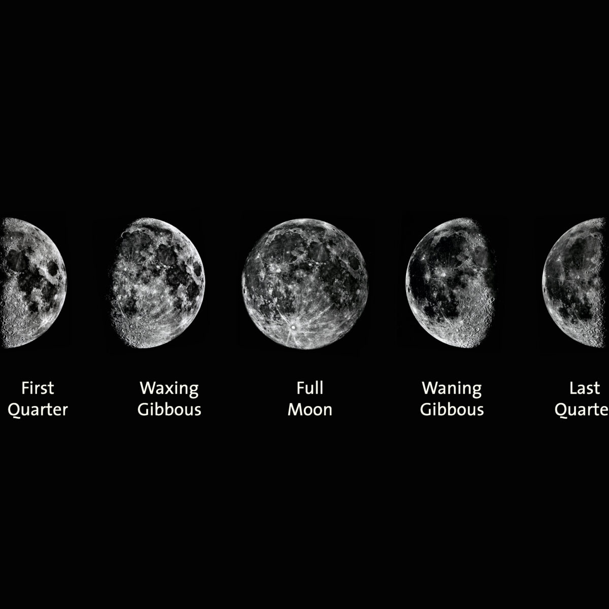 moon phases today