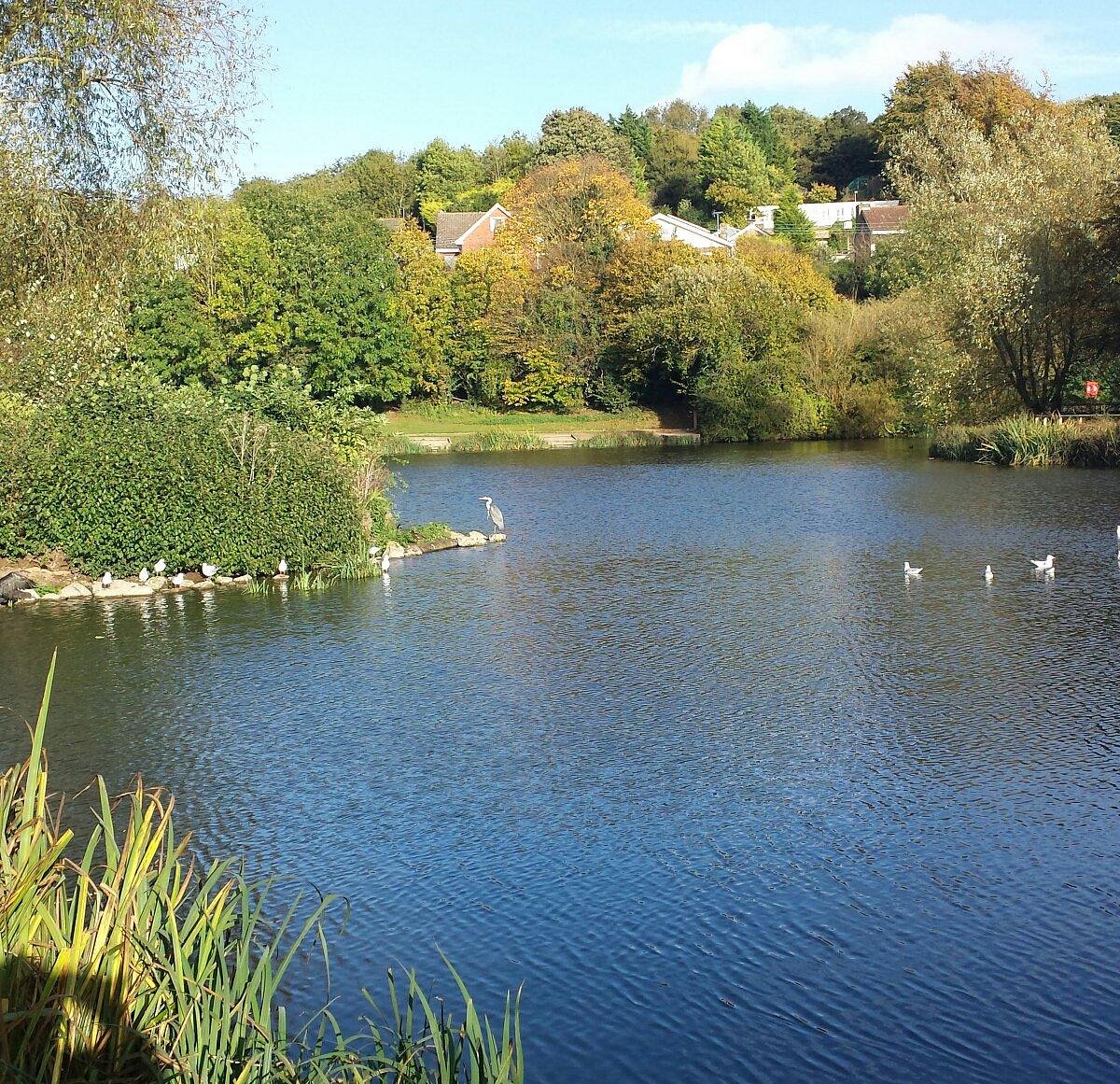 capstone farm country park photos