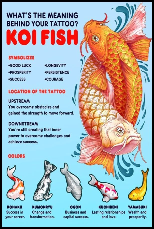 koi carp tattoo meaning