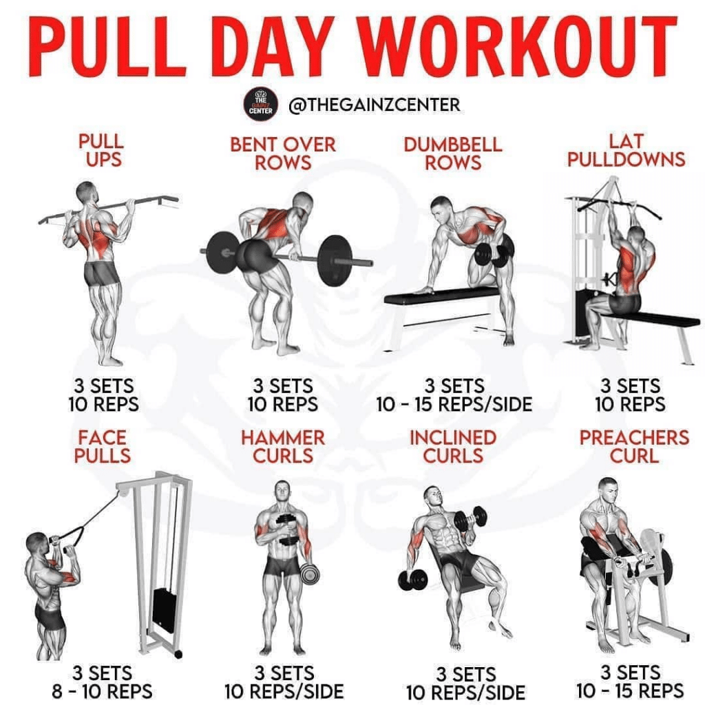 dumbbell pull day