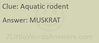 aquatic rodent crossword clue