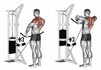 standing cable row