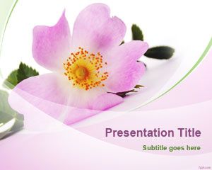 flower powerpoint templates free download