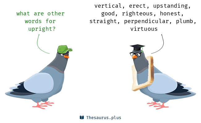 upright thesaurus