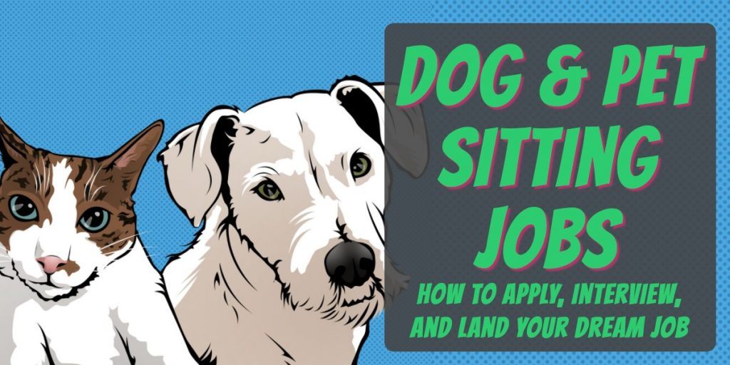 dog sitting hiring