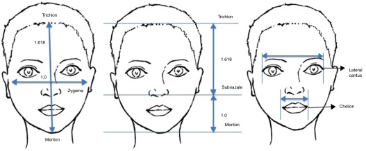 golden ratio test face