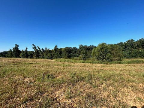 land for sale in woodlawn tn