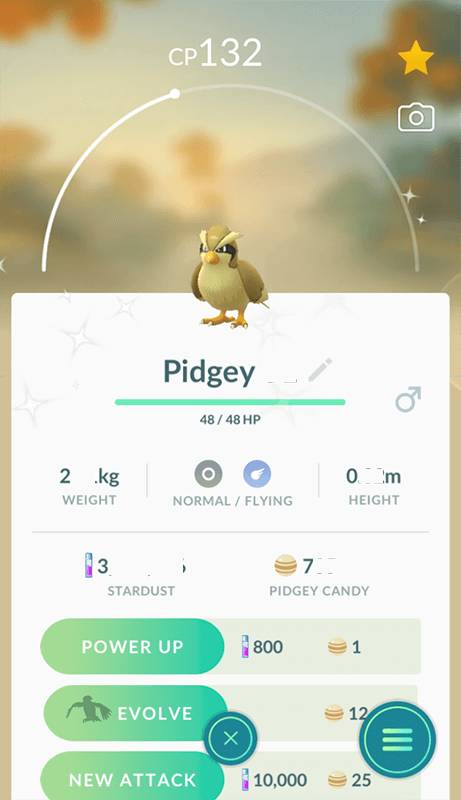 shiny pidgey vs normal