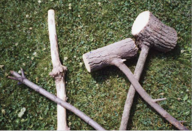 best wood for walking stick