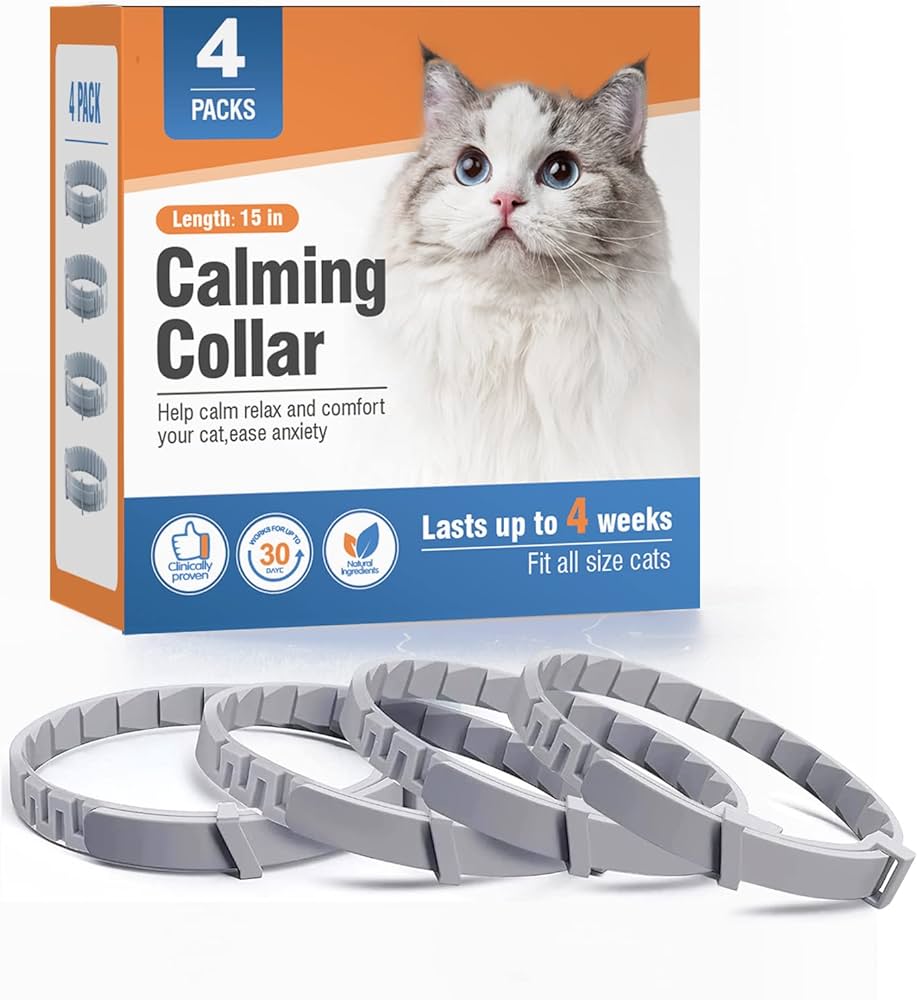 allicatcollared