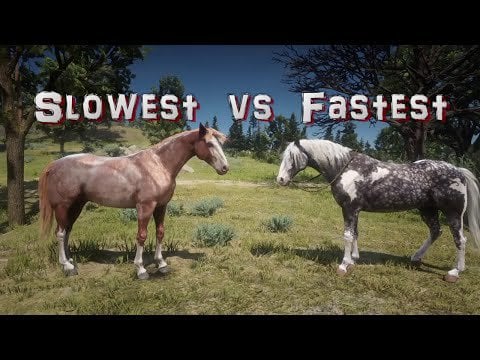 rdr2 fastest horse