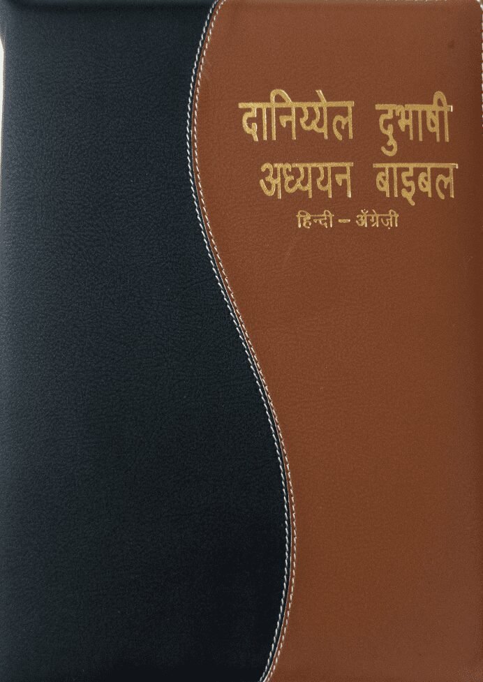 kjv bible in hindi