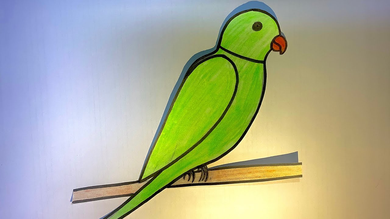 parrot kids drawing