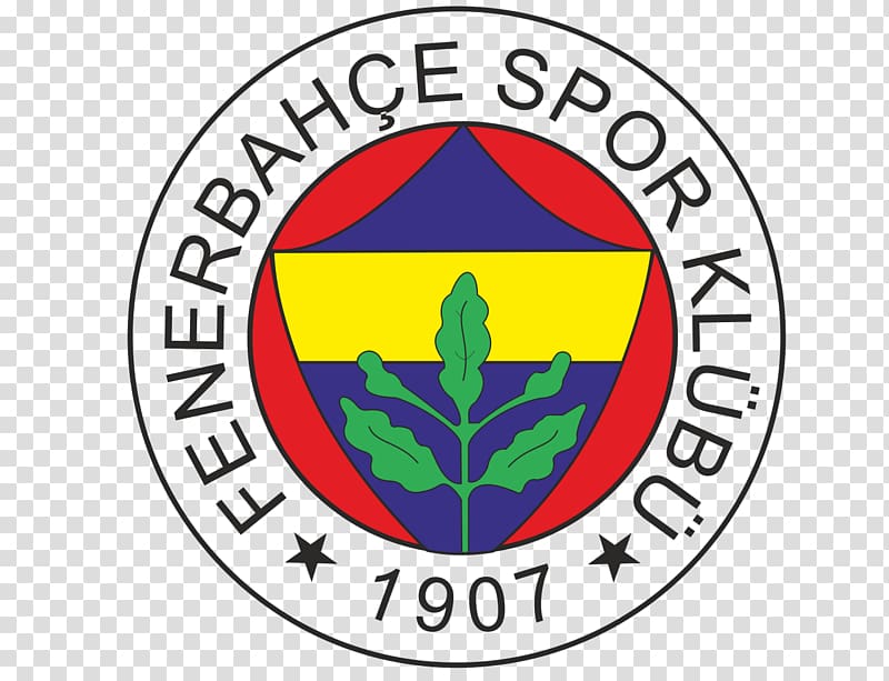 fenerbahçe s k football