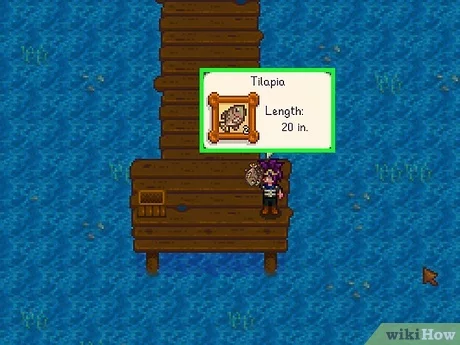 how to catch tilapia stardew valley