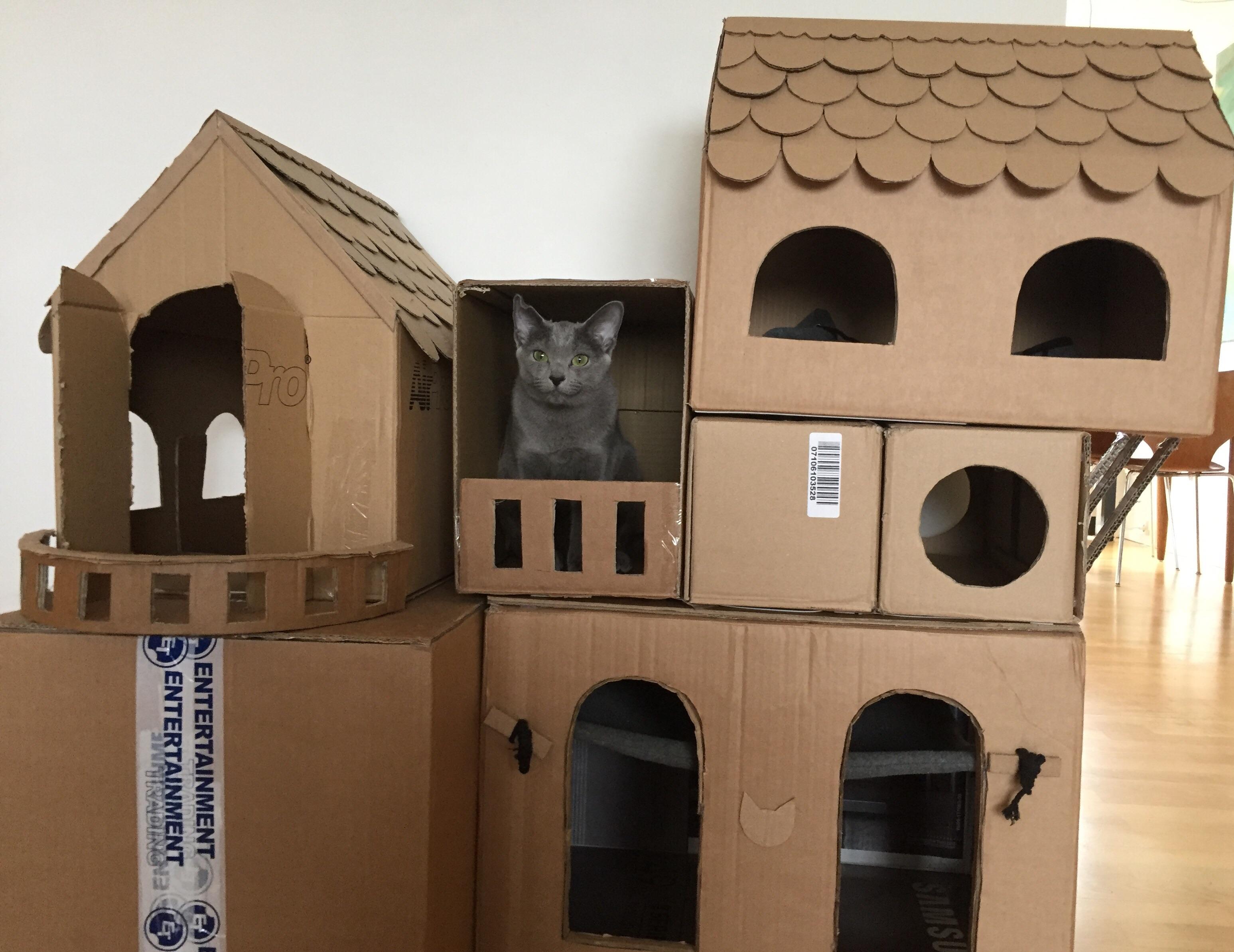 cardboard diy cat house