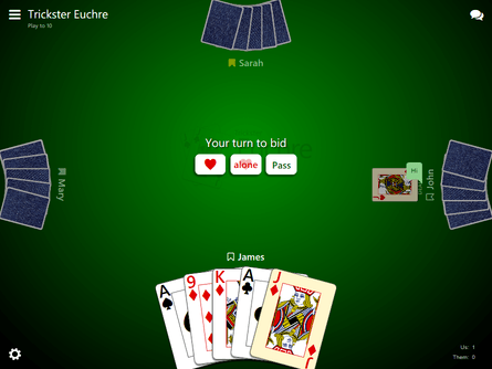 euchre 247