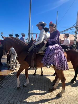 milanuncios caballos andalucia