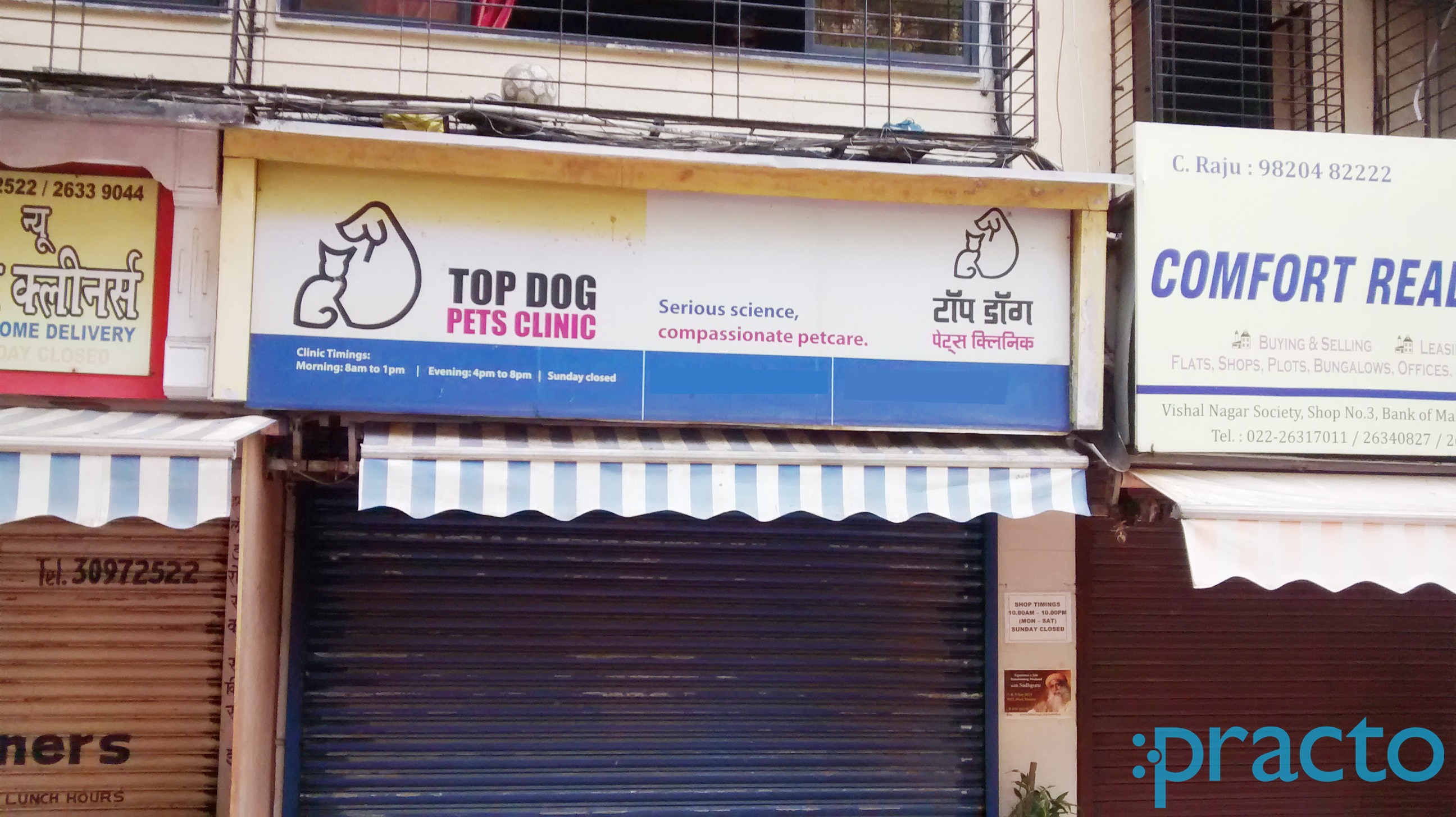 top dog pets clinic top dog healthcare pvt ltd