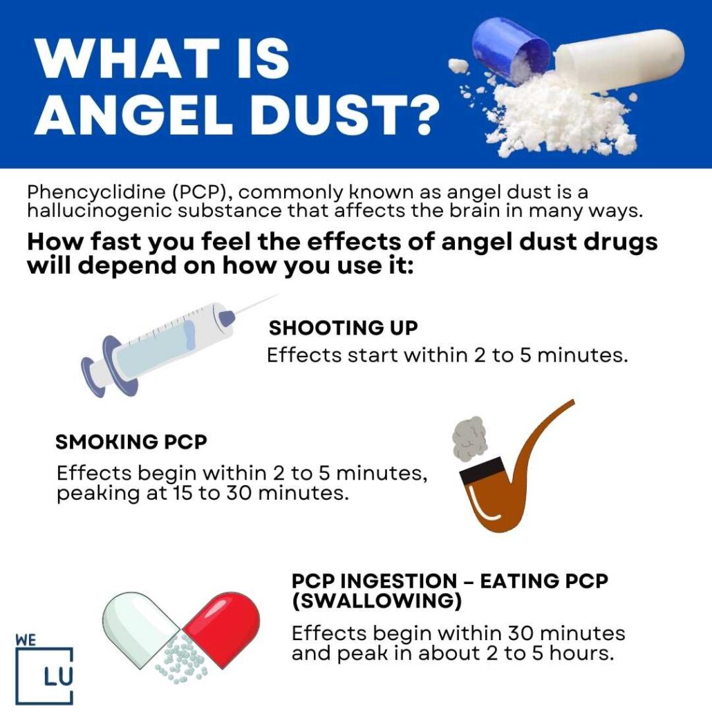 angel dust drug wiki