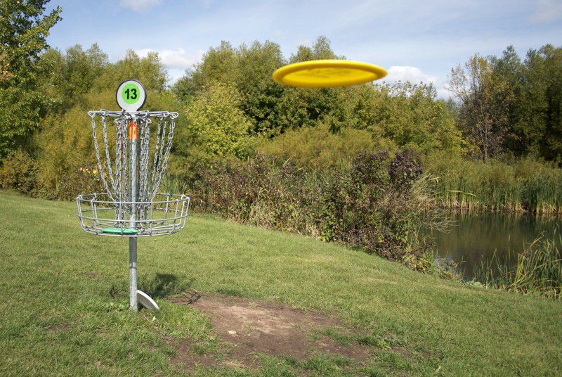 disc golf scene