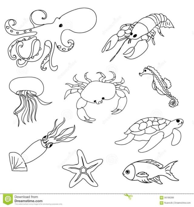 marine animals coloring pages