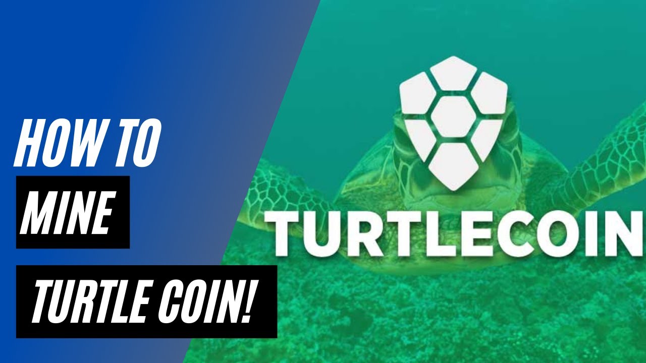 mine turtle coin