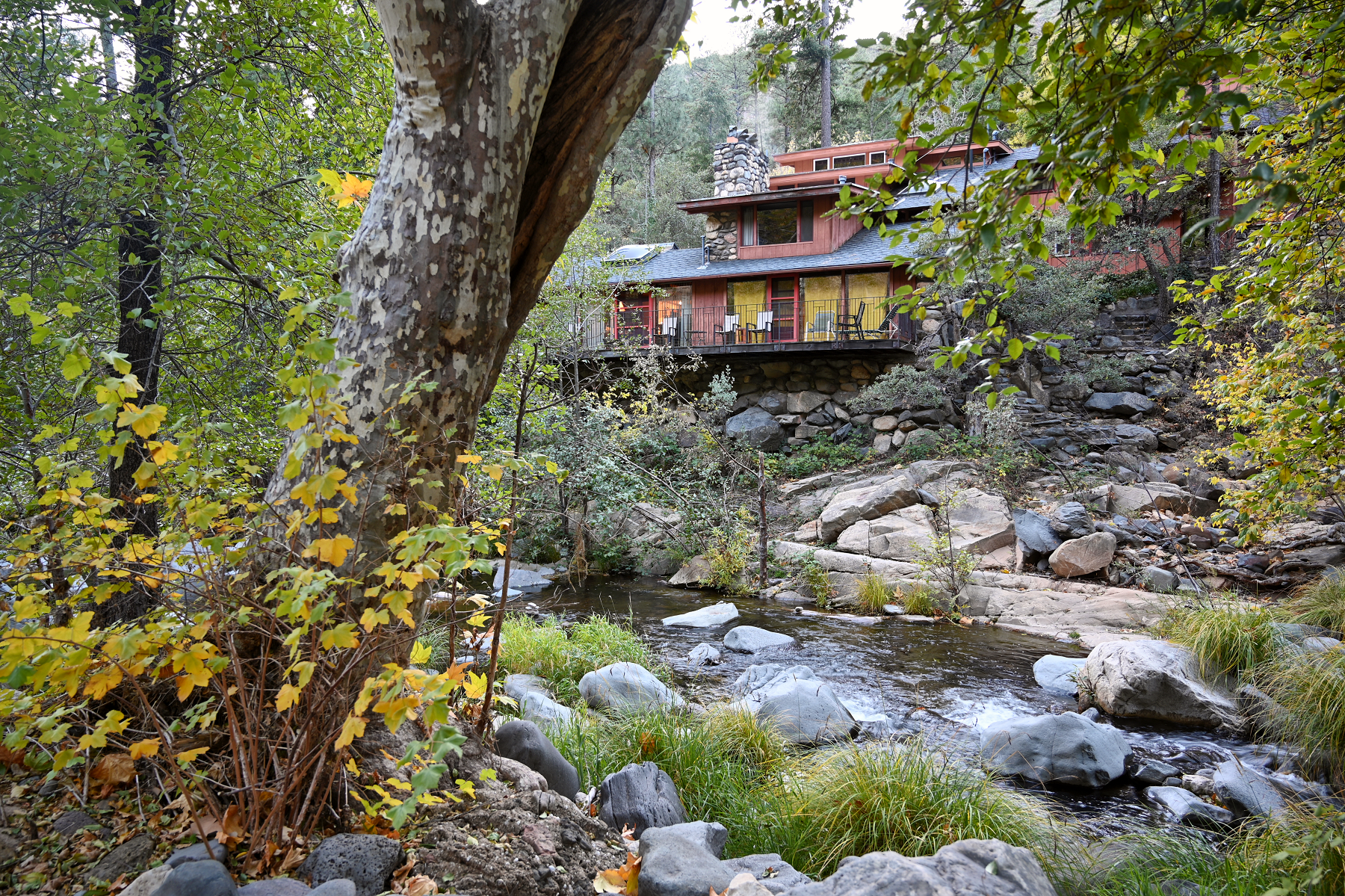 forest houses resort sedona