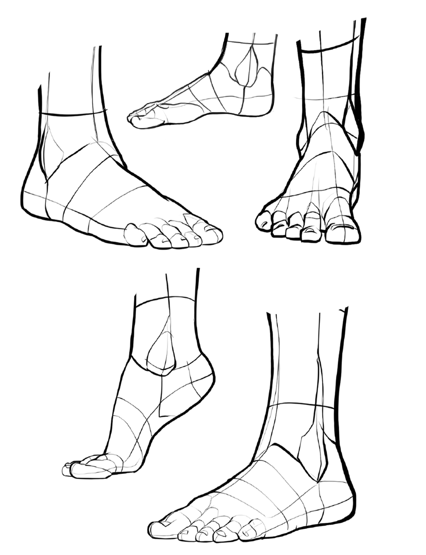 foot drawing reference